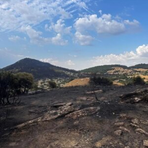 kesanda orman yangini incelemesi TignlX3E