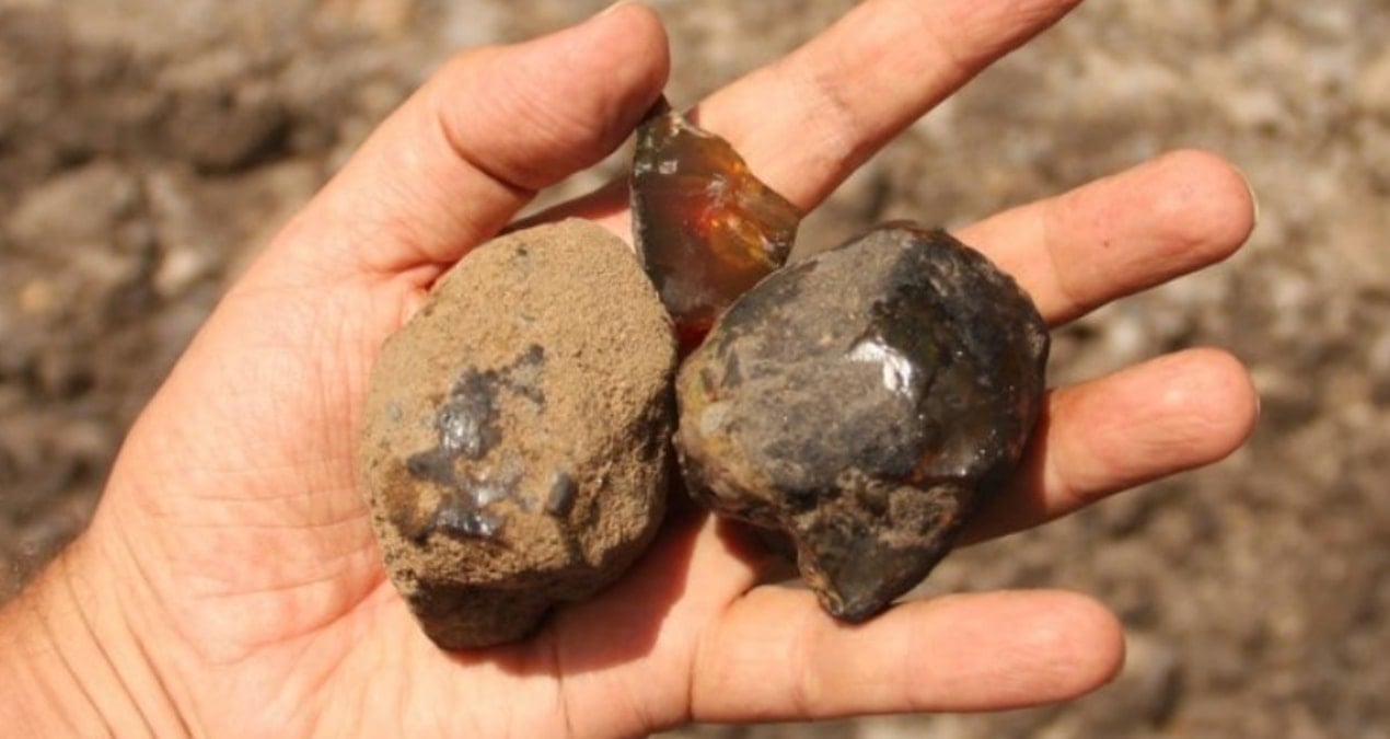 112 milyon yillik kehribarda buyuk bulus bir ilk oldu dfLBliCZ