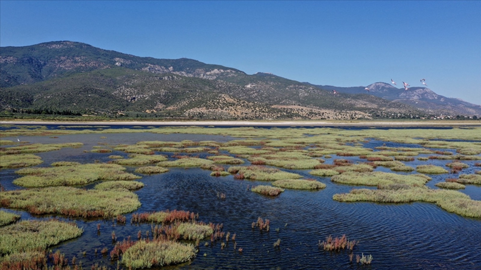 akp milletvekillerinin imzasini tasiyan kanun teklifi kabul edildi milli parklara otel yapilabilecek 2gS3ukxZ.jpg