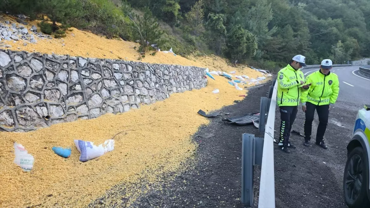 bursa inegolde hayvan yemi yuklu tir devrildi 2 agir yarali heFenkE6