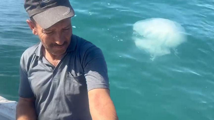 korkutan uyari geldi zehirli kesinlikle temas etmeyin DNnq2y8E.jpg