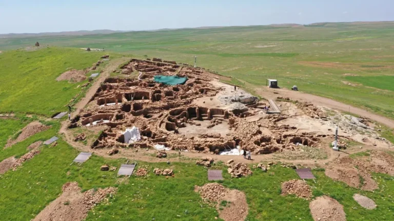 karahantepenin-12-bin-yillik-sirri-cozuldu-neolitik-insanin-aksam-yemeginde-ne-vardi-y398kWI1